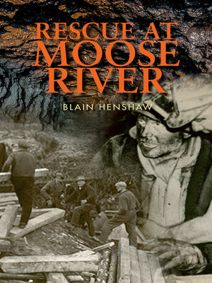 cover image of Rescue at Moose River